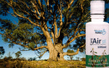 SALE: Eucalyptus Aromatherapeutic Essence (200ml) - CareforAir UK