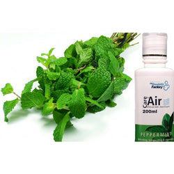Peppermint Aromatherapeutic Essence (200ml) - CareforAir UK