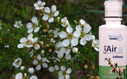 Tea Tree Aromatherapeutic Essence (200ml) - CareforAir UK