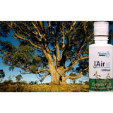 Eucalyptus Aromatherapeutic Essence (100ml) - CareforAir UK