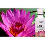 Thai Lotus Aromatherapeutic Essence (100ml) - CareforAir UK